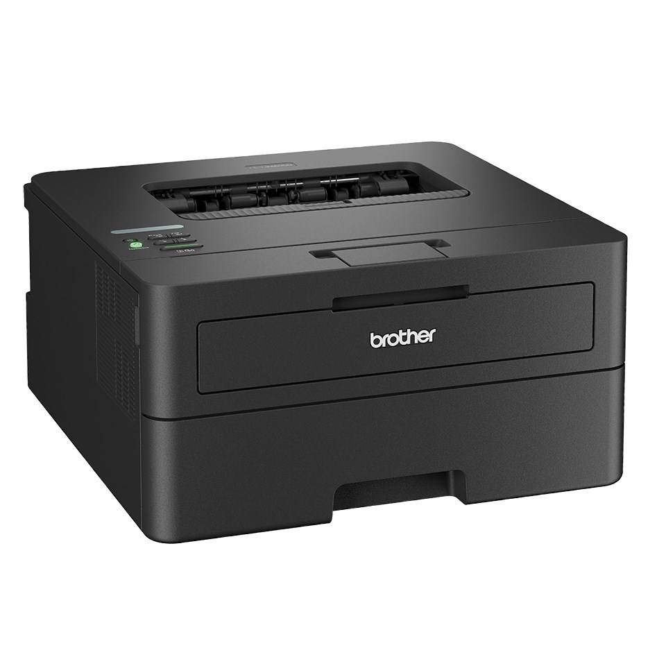Brother HL-L2460DN laserprinter 1200 x 1200 DPI A4-4