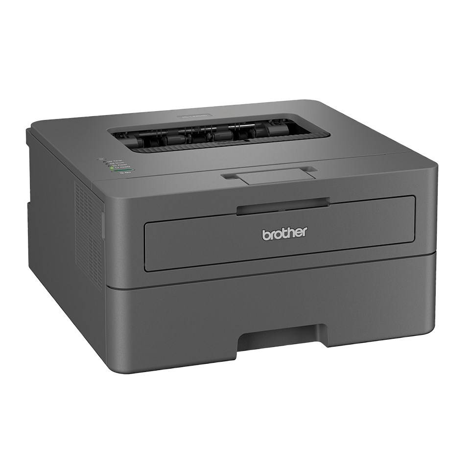Brother HL-L2402D laserprinter 1200 x 1200 DPI A4-2