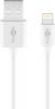 Lightning USB-oplaad- en synchronisatiekabel MFi-kabel voor Apple iPhone / iPad wit