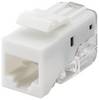 Goobay Keystone Modul RJ45 CAT 5e, UTP, 100 MHz 18,11 mm breit, RJ45-Buchse (8P8C), Snap-In system