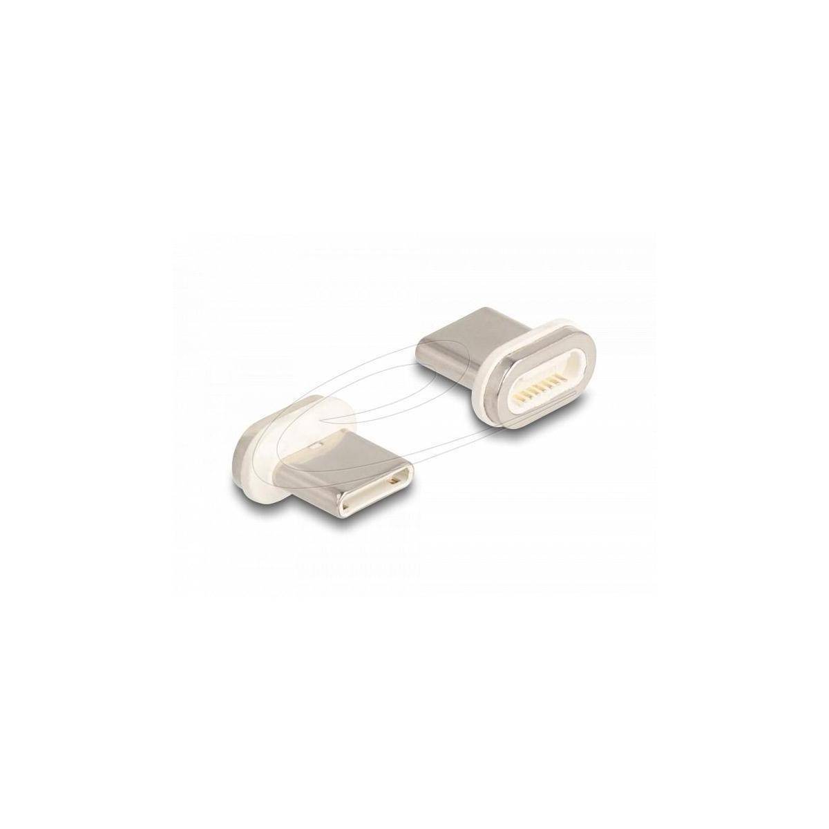 Delock Magnetic Adapter USB Type-C™ male-1