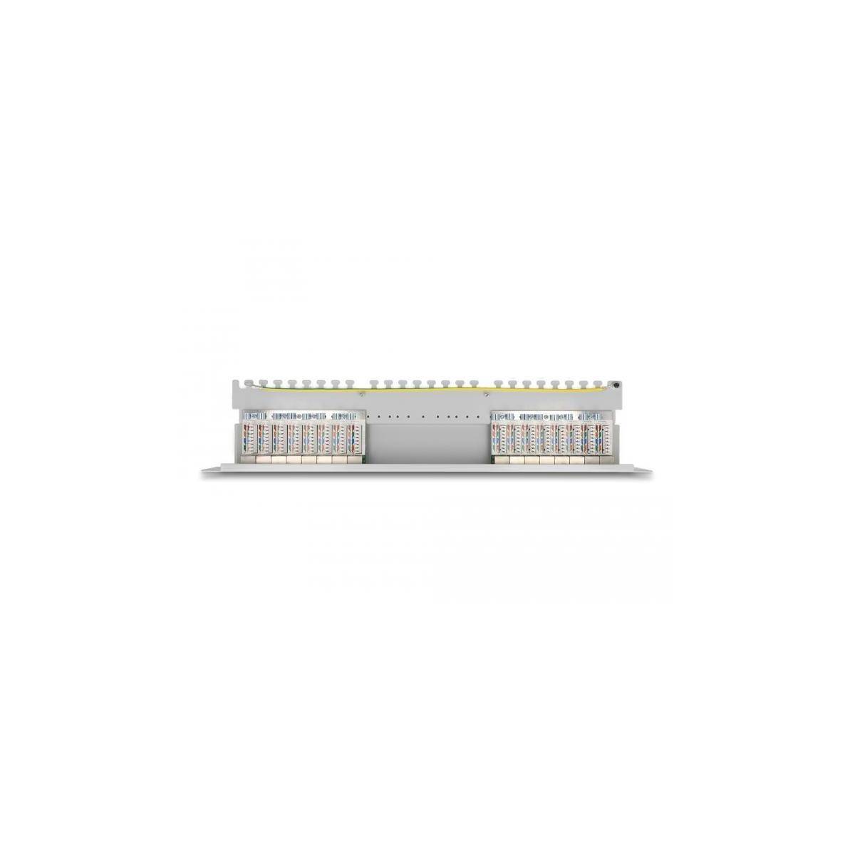 Delock 19″ Patch Panel 16 port Cat.6A 1U grey-2