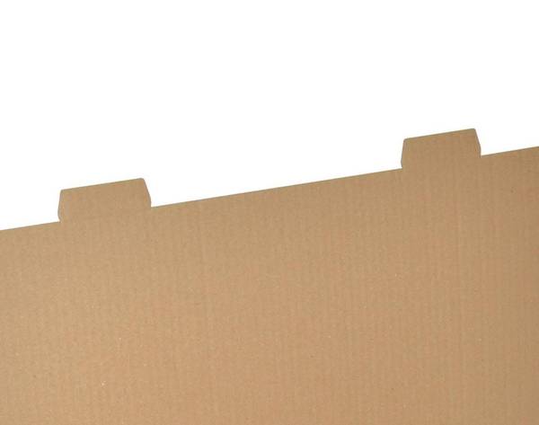 Dinkhauser 10 ColomPac Verzenddozen - 46,5 x 34,9 x 18,4 cm (CP098.05.010)