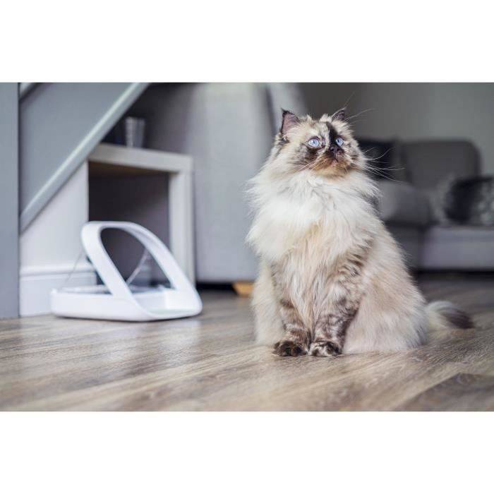 SUREFEED Smart Feeder - Wit - Ideaal voor Overgewicht Katten en Huishoudens met Meerdere Huisdieren-4