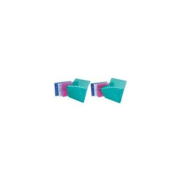 REXEL ICE Uittrekbare Map DIN A4 6 Compartimenten Assorted Kleuren 10 Stuks (2102032)