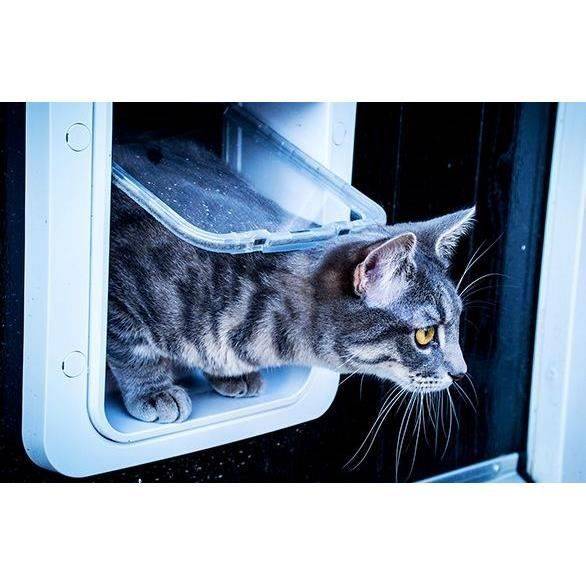 SUREFLAP Grote Microchip Kattenluik - Wit - 178 mm x 170 mm (Opslag tot 32 Microchips)-2