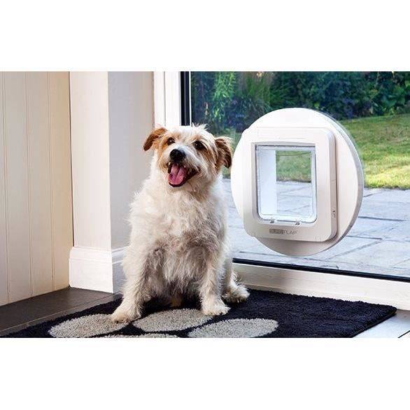 SUREFLAP Grote Microchip Kattenluik - Wit - 178 mm x 170 mm (Opslag tot 32 Microchips)-4