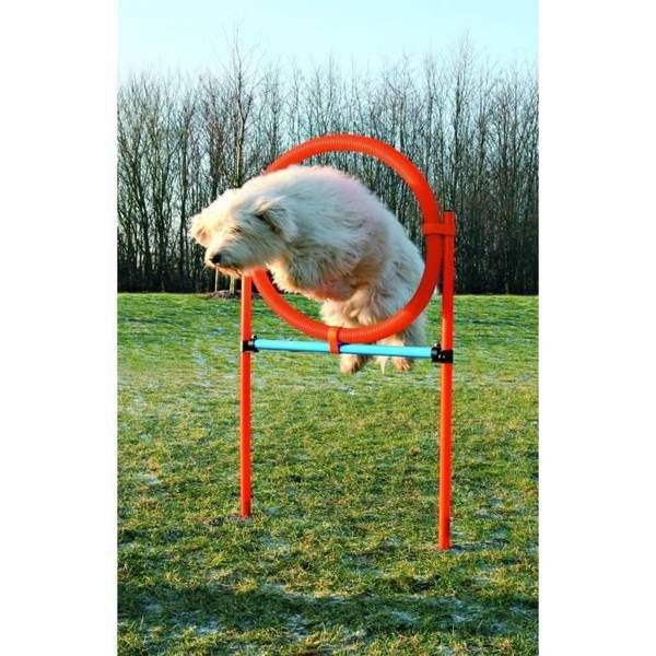 TRIXIE Hond Agility Hoepel - 115 x 3 cm - Kunststof