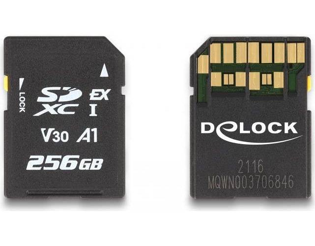 Delock - Flashgeheugenkaart - 256 GB - Video Class V30/UHS-I U3 - SD-0