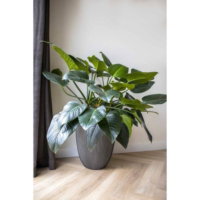 CAPI EUROPE Elegante GROOVE Vaasje - 46 x 58 cm - Antraciet - 100% recyclebaar-1