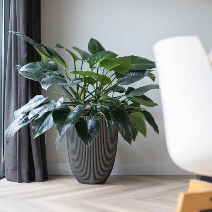 CAPI EUROPE Elegante GROOVE Vaasje - 46 x 58 cm - Antraciet - 100% recyclebaar-2