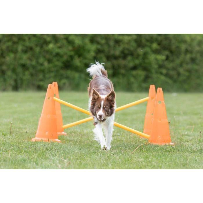 TRIXIE Set van 3 Obstakelparcours - Ø 23 x 30 cm - 78 cm - Voor Honden-2