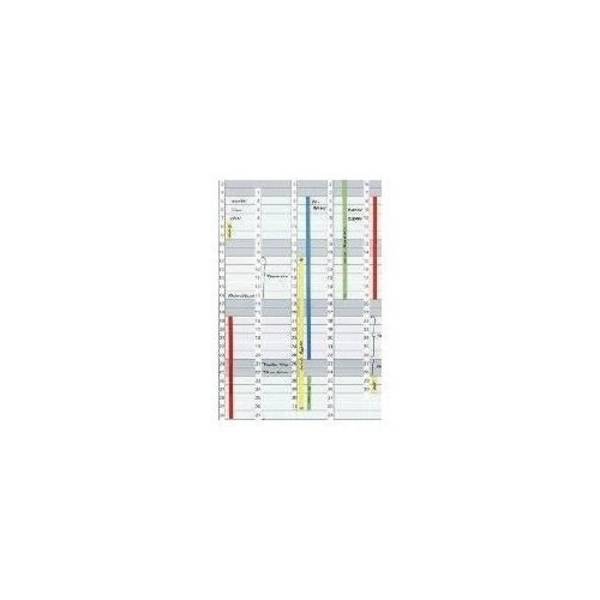 FRANKEN Magnetische Datastreep voor Jet Calendar 1203 - Wit - Afmetingen: (B)191 x (H)695 mm - 1 stuk (DS1203A)