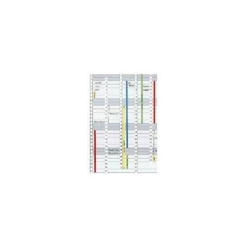 FRANKEN Magnetische Datastreep voor Jet Calendar 1203 - Wit - Afmetingen: (B)191 x (H)695 mm - 1 stuk (DS1203A)-0