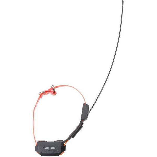 NUM'AXES GPS Mini Honden Volg Halsband - Trainingsfunctie - Oranje
