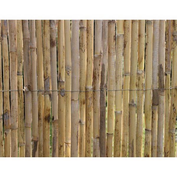 NATURE Rietenscherm - Premium Natuurlijke Gespleten Riet - 3 x 1 m