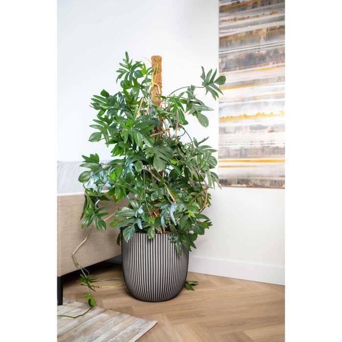 CAPI EUROPE GROOVE NL Bolvormige Bloempot - 43 x 41 cm - Antraciet-1