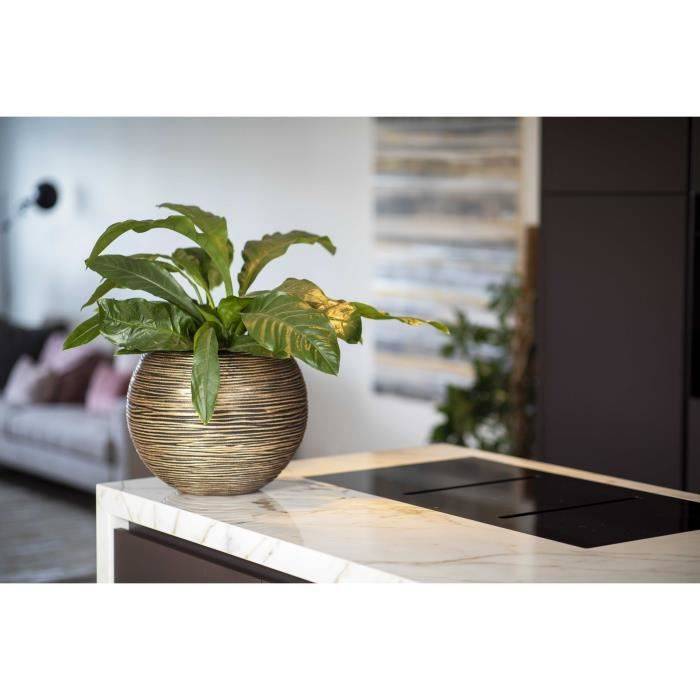CAPI EUROPE Vaas Bol RIB NL - 40 x 32 cm - Zwart/Goud-1