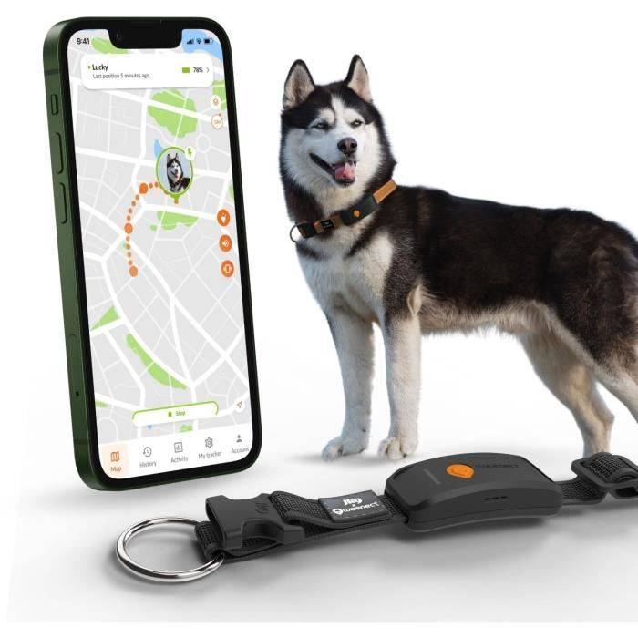 WEENECT Dog XT GPS Halsband - XL Antenne - Waterdicht - Julius-K9 - Zwart-1