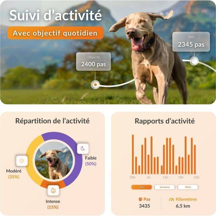 WEENECT Dog XT GPS Halsband - XL Antenne - Waterdicht - Julius-K9 - Zwart-3