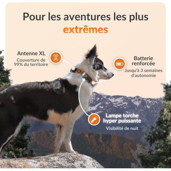 WEENECT GPS Hondentracker - Dog XT - XL Antenne - Waterdicht - Abonnement Vereist-1