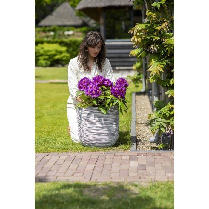 CAPI EUROPE NATURE RIB Plantenbak - 35 x 34 cm - Ivoor-1