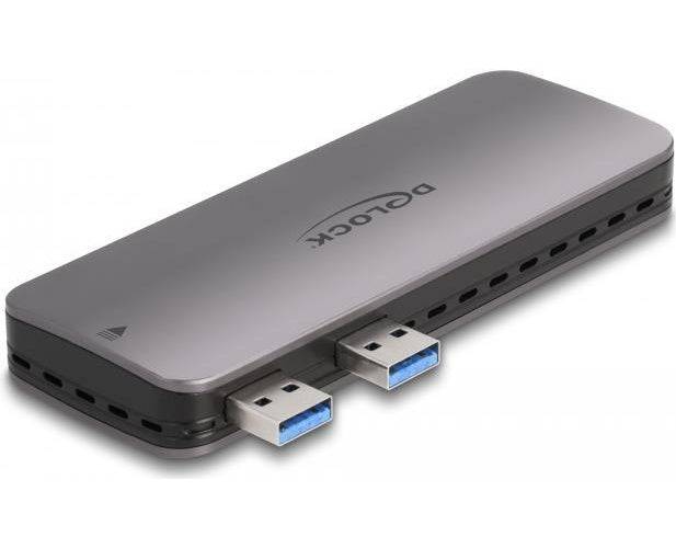 Delock Opslagbehuizing - M.2 - NVMe PCIe - PCIe, SATA, USB 3.2 (Gen 2)-0
