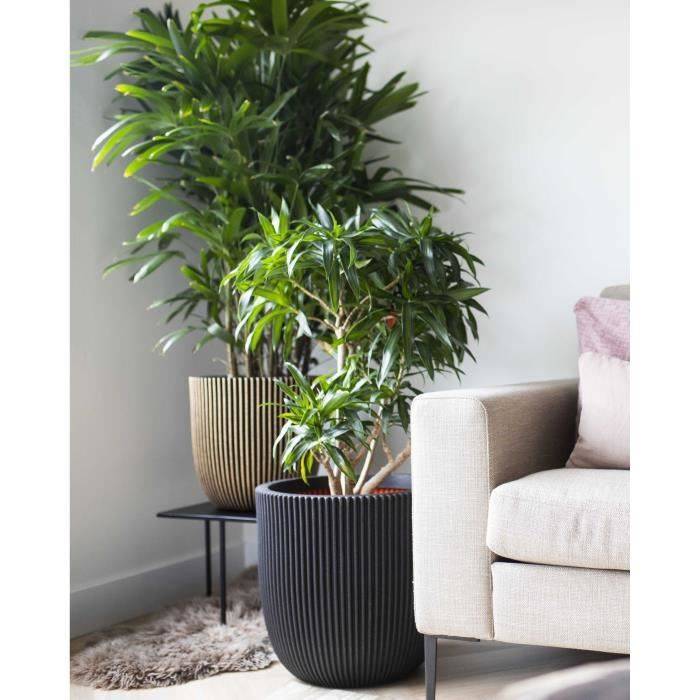 CAPI EUROPE Bloempot RIB NL - 43 x 41 cm - Zwart-2
