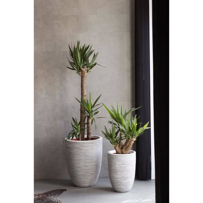 CAPI EUROPE Bloempot NATURE RIB - 36 x 47 cm - Ivoor-1
