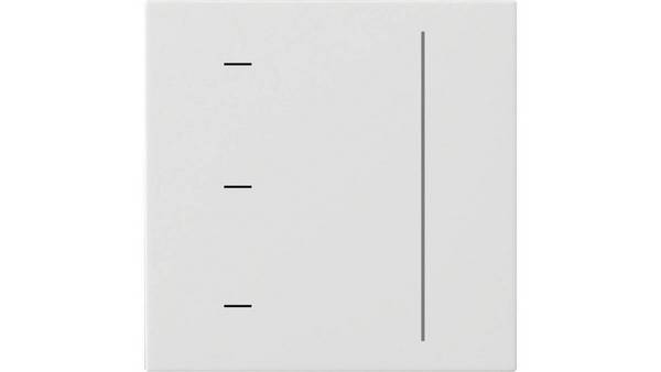 Gira Touch Control S3000 Reinwit 536527 voor Systeem 3000
