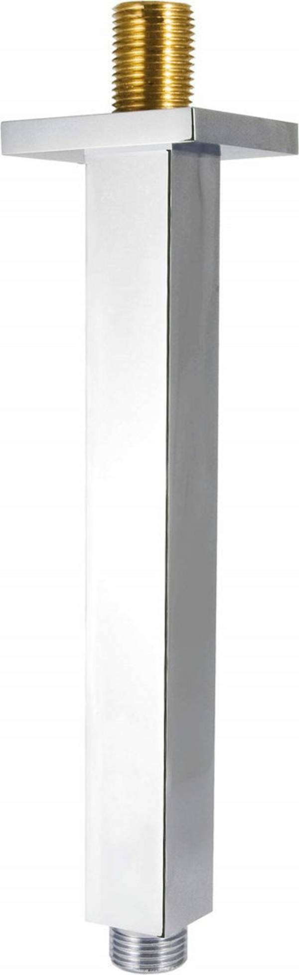 Deante Plafond Douchekop 250 mm Chroom NAC048K