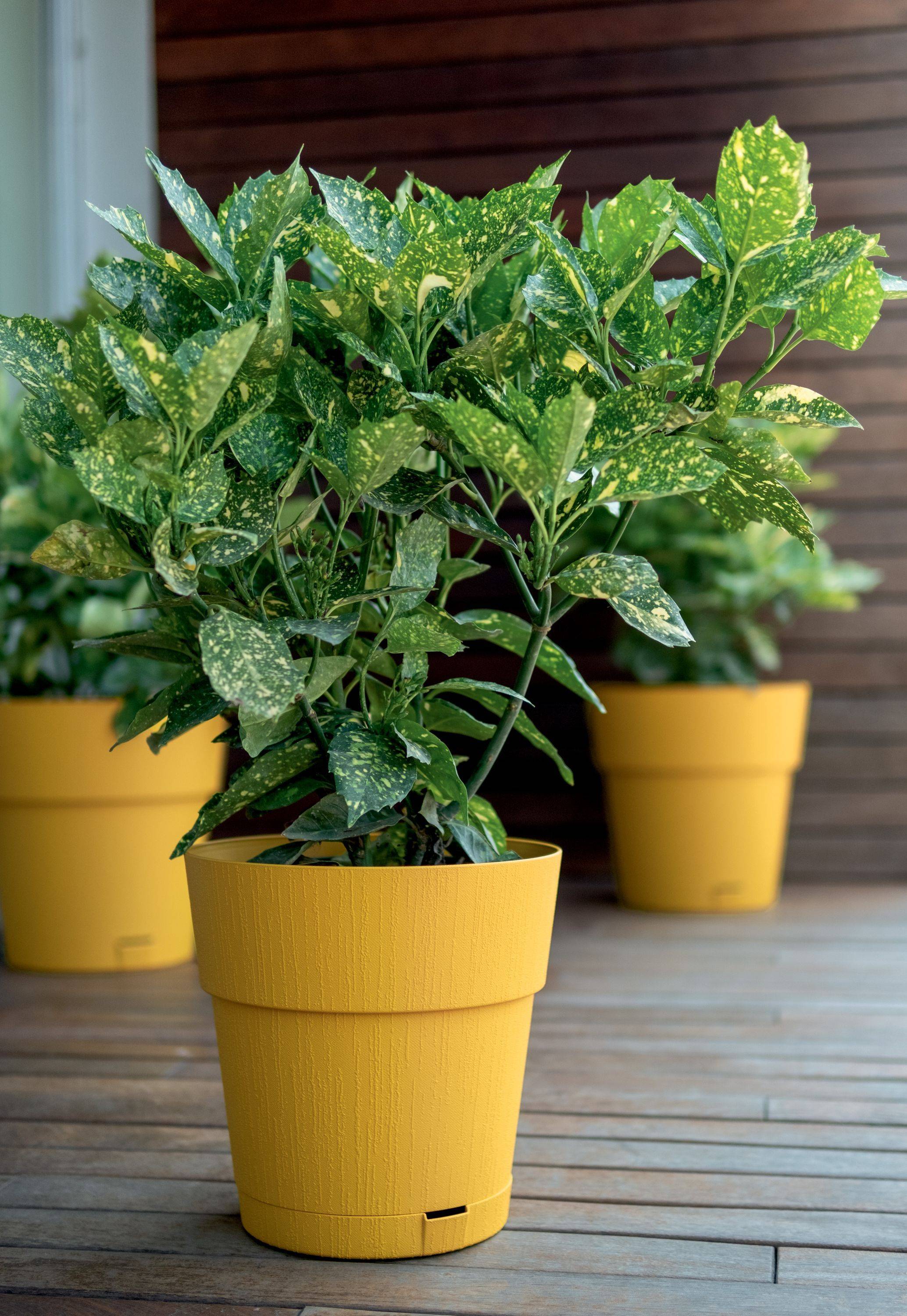 STEFANPLAST ETHICA Bloempot - 2 L - 40x39 cm - Met Waterreservoir - Mosterd h39-2
