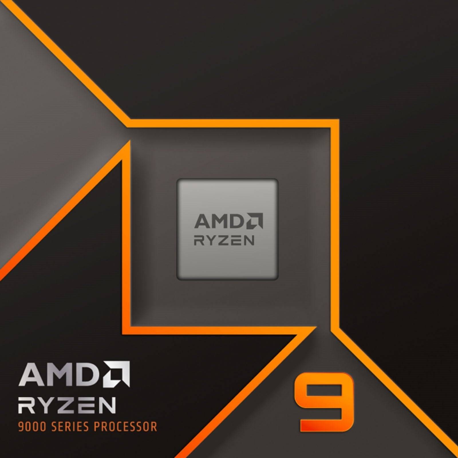 AMD Ryzen 9 9900X Processor 4,4GHz Box (100-100000662WOF) 5.60GH-1