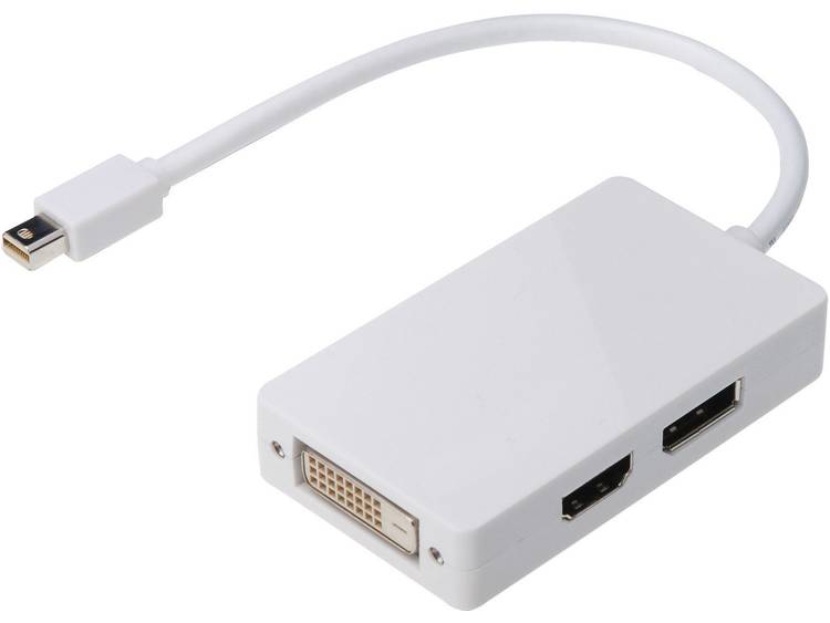 DisplayPort-HDMI-DVI Adapter [1x Mini-DisplayPort stekker => 1x DisplayPort bus, HDMI-bus, DVI-bus 2