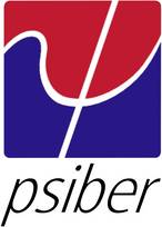 Psiber Data Systems