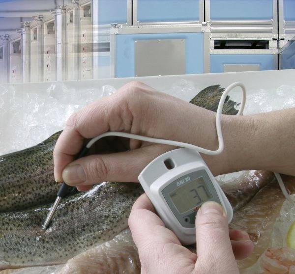 Реєстратор температури ebro EBI 20-TE1 1601-0043-Z від -30 до 70 °C