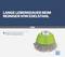 "Falisty drut premium do lżejszych prac czyszczących." Na ilustracji widoczna jest zielona szczotka druciana z napisem "Długa trwałość podczas czyszczenia stali nierdzewnej".