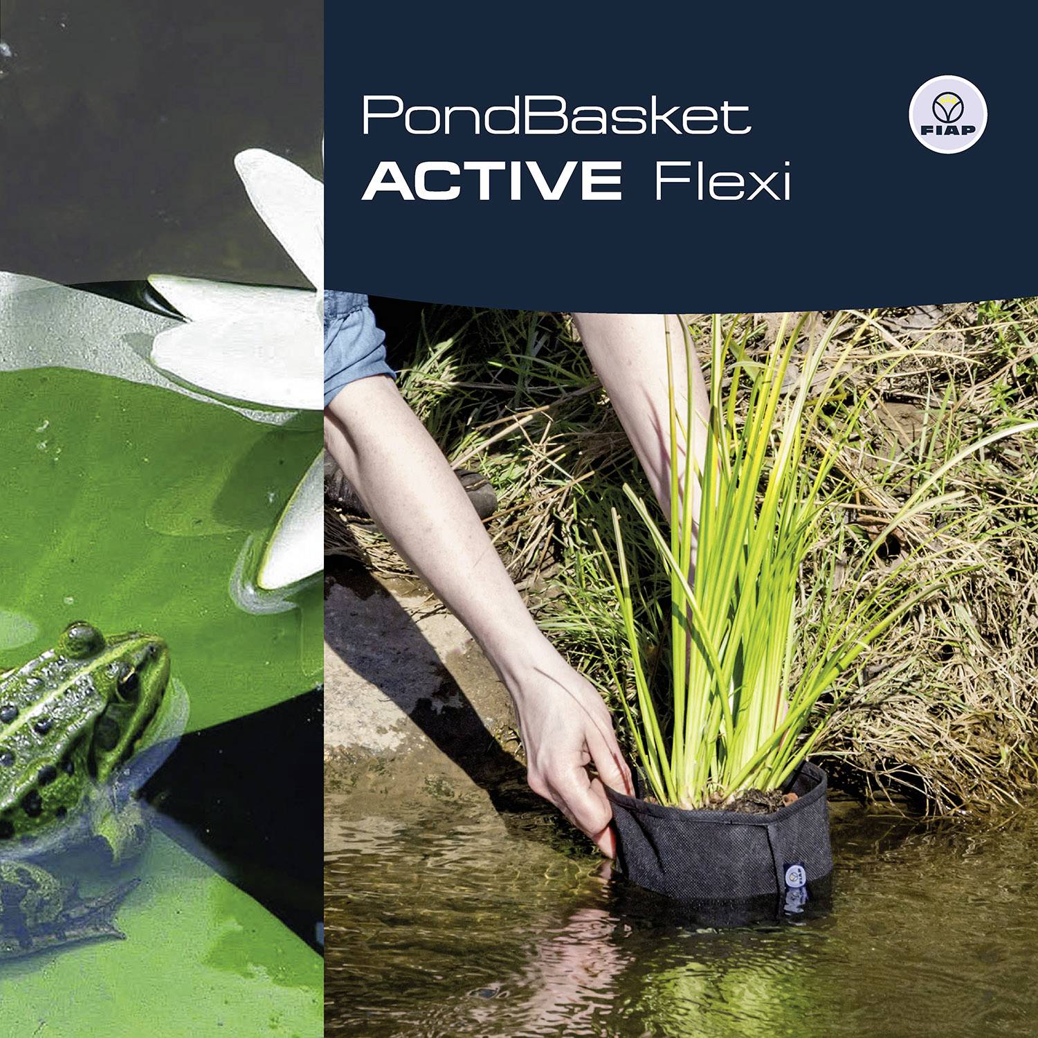 Osoba sadzi roślinę w elastycznym koszu do oczka wodnego przy brzegu stawu. Na górze widać napis 'PondBasket ACTIVE Flexi'.