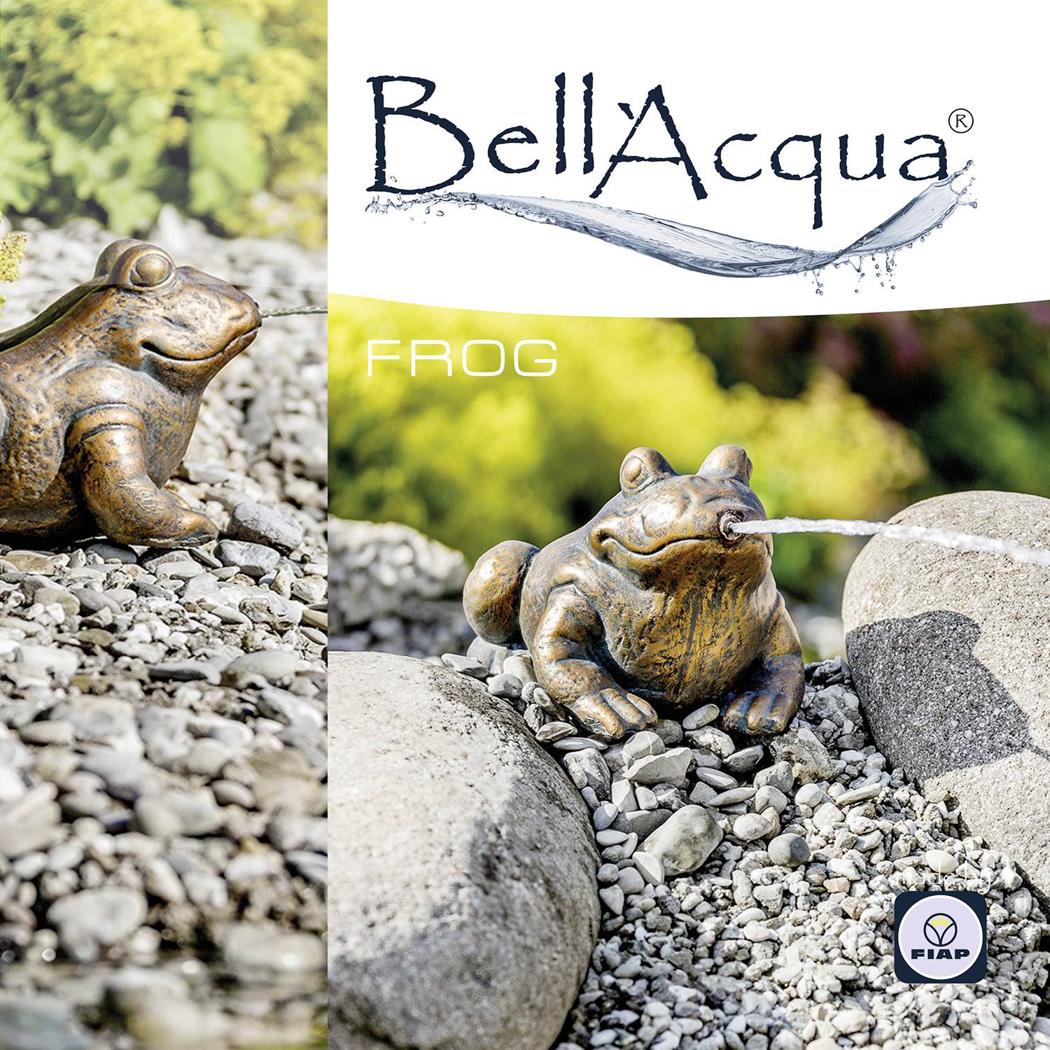 Brązowa statua żaby siedzi na kamieniu w ogrodzie z logo "Bell'Acqua" i napisem "Frog".