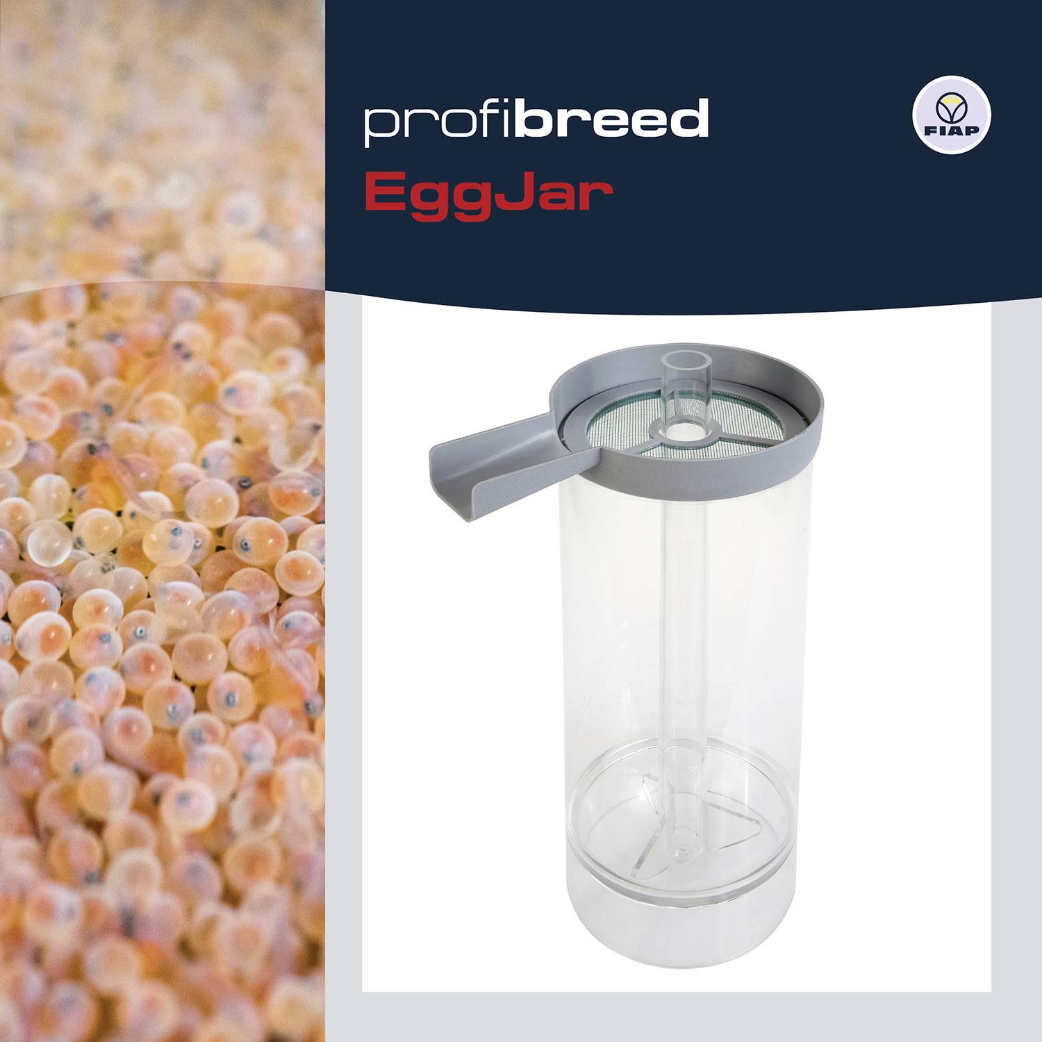 Lewa strona: Liczne jaja ikry. Prawa strona: Przezroczyste naczynie rurowe z wylewką i przykrywką, odpowiednie do bezpiecznego przechowywania.