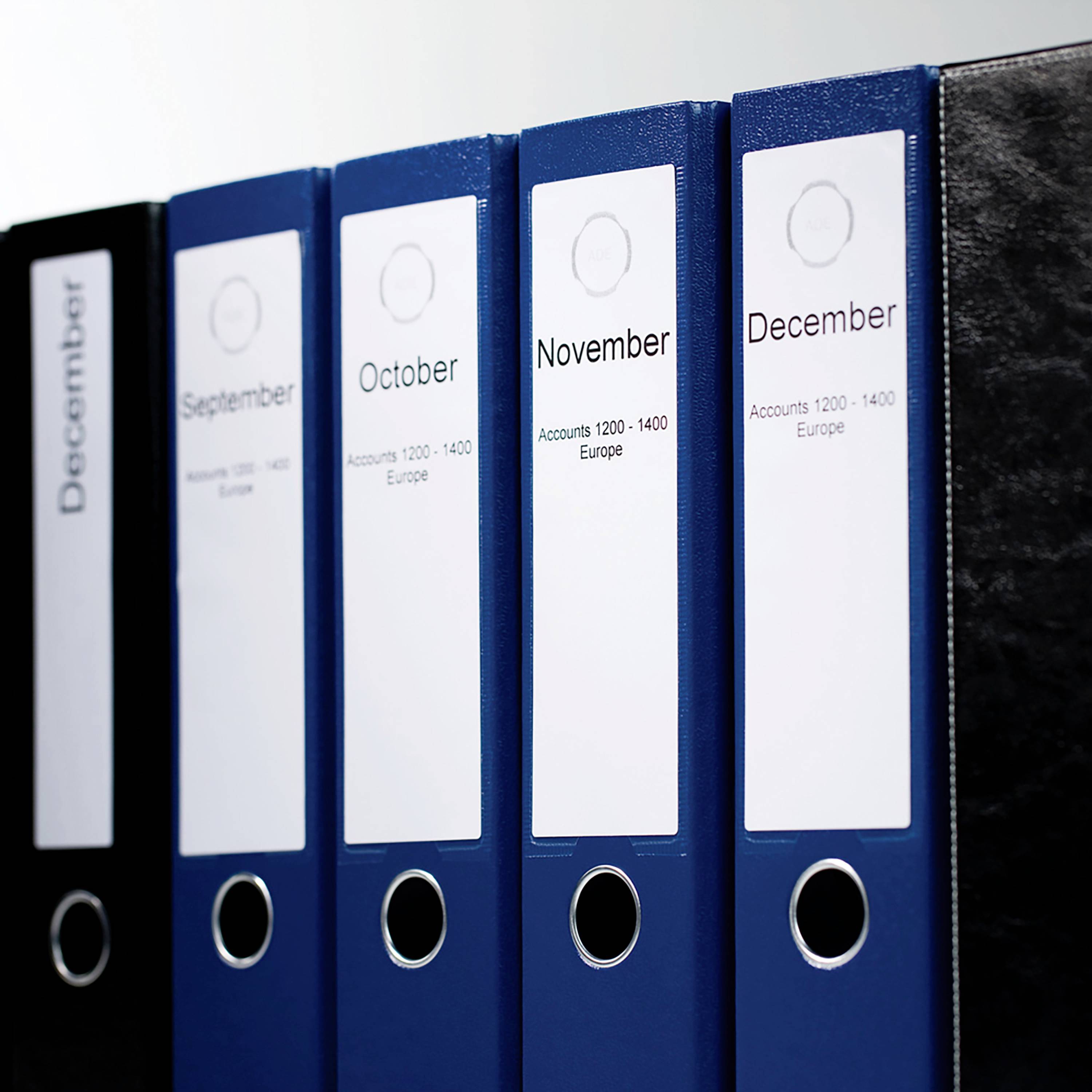 Етикетки для принтерів етикеток DYMO S0722480, 59 x 190 мм, Етикетки-папки, білі