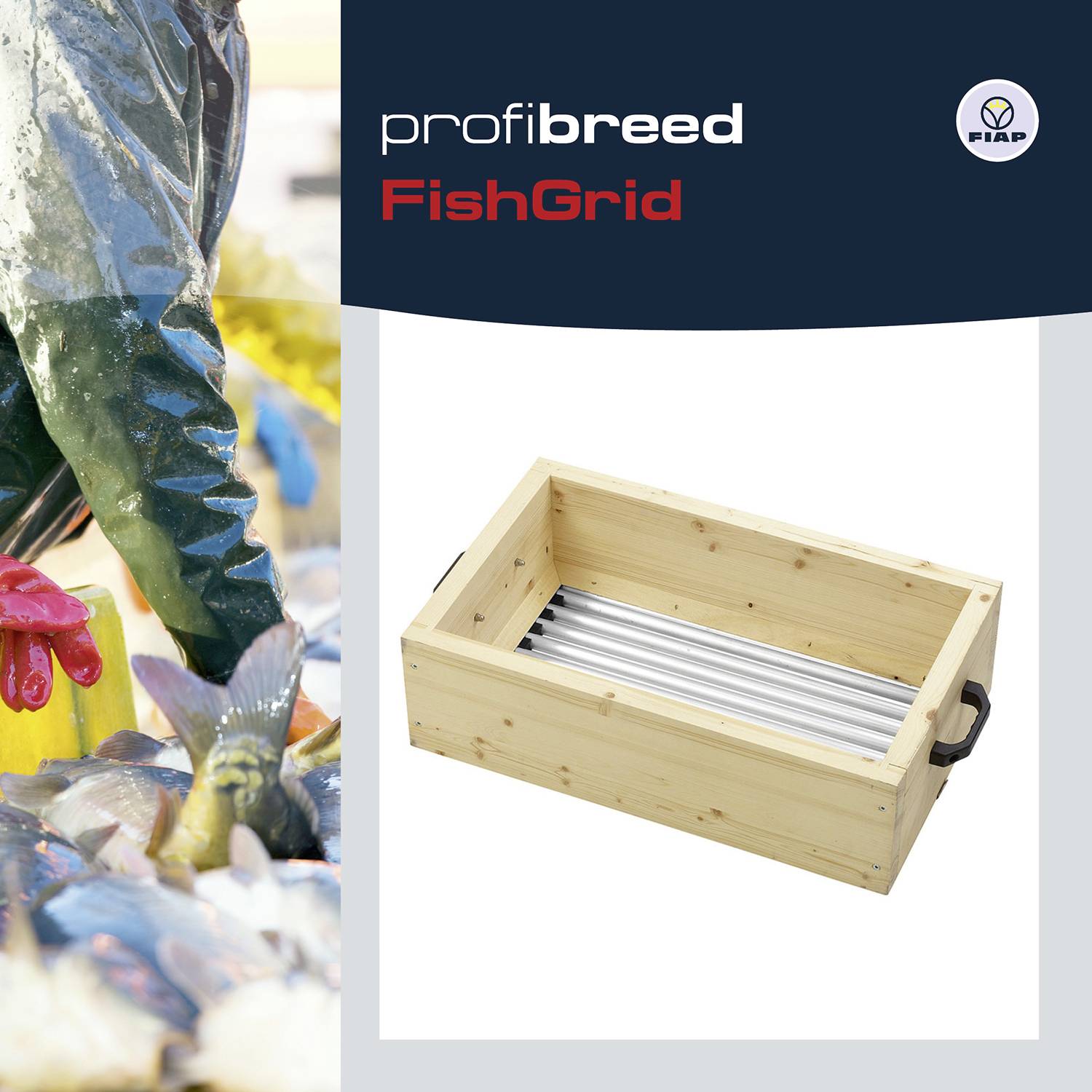 Rybak trzyma świeżą rybę w lewej części obrazu. Po prawej stronie drewniane pudełko z metalową wkładką. Na górze tekst: profibreed FishGrid, logo FIAP.