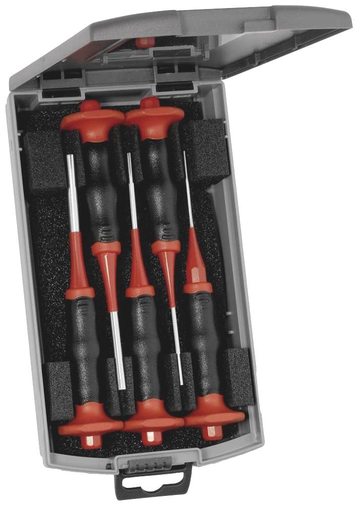 Набір фіксаторів HS Exklusiv Rennsteig Werkzeuge 425 502 6 1 шт.