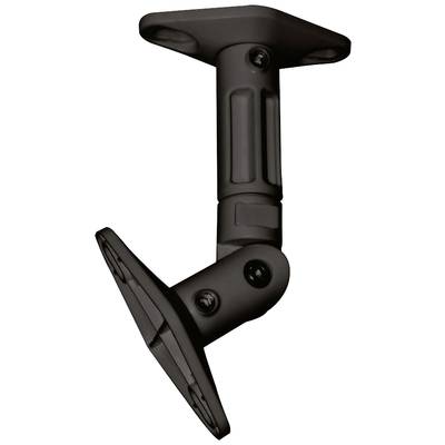 Uchwyt sufitowy do głośnika Neomounts SPEAKER-W100BLACK, Uchylny, 6 kg, czarny, 1 szt.