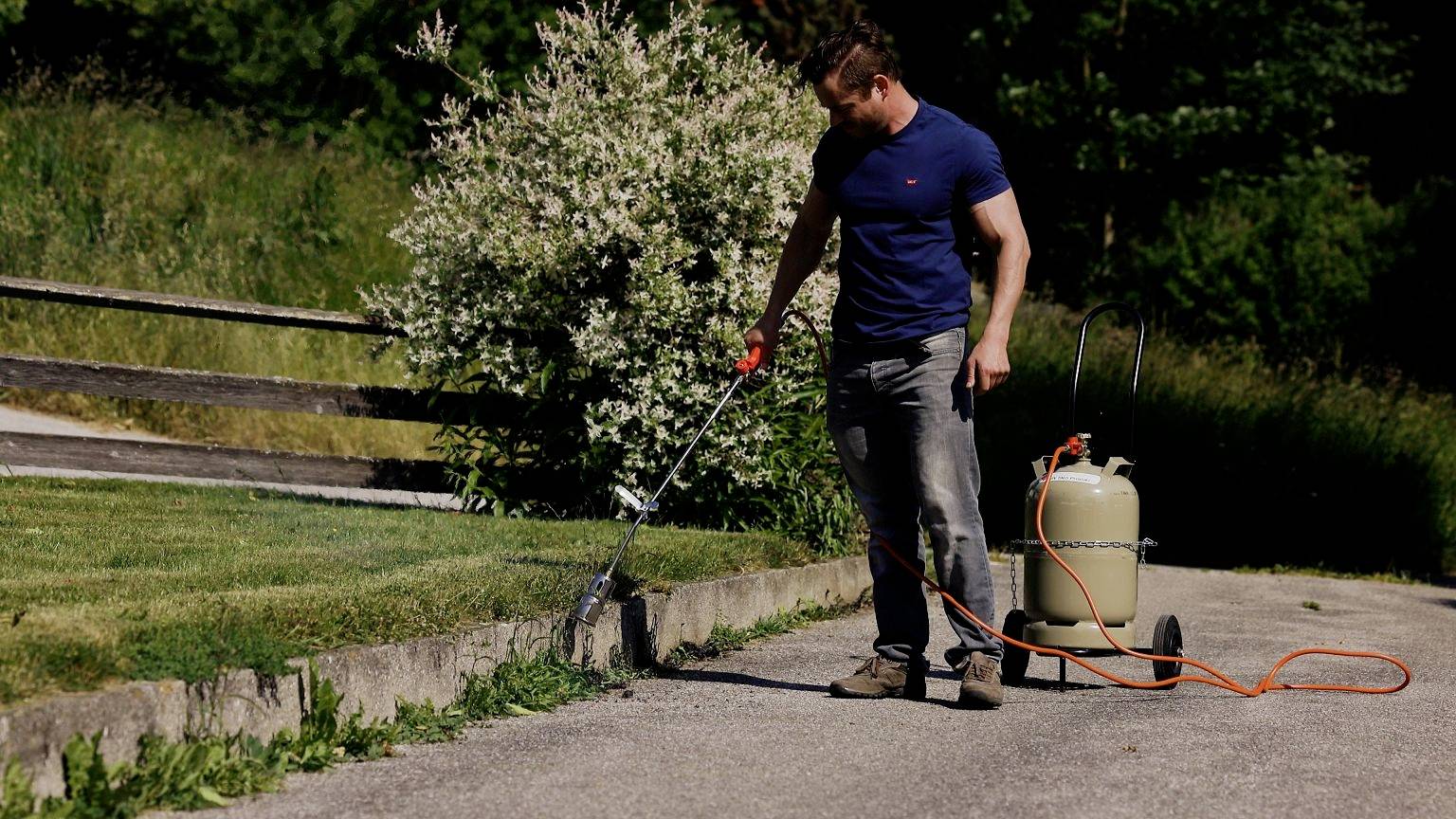 Osoba ubrana na niebiesko używa narzędzia do usuwania chwastów na chodniku przy porośniętej trawą krawędzi. W tle widoczne są rośliny.