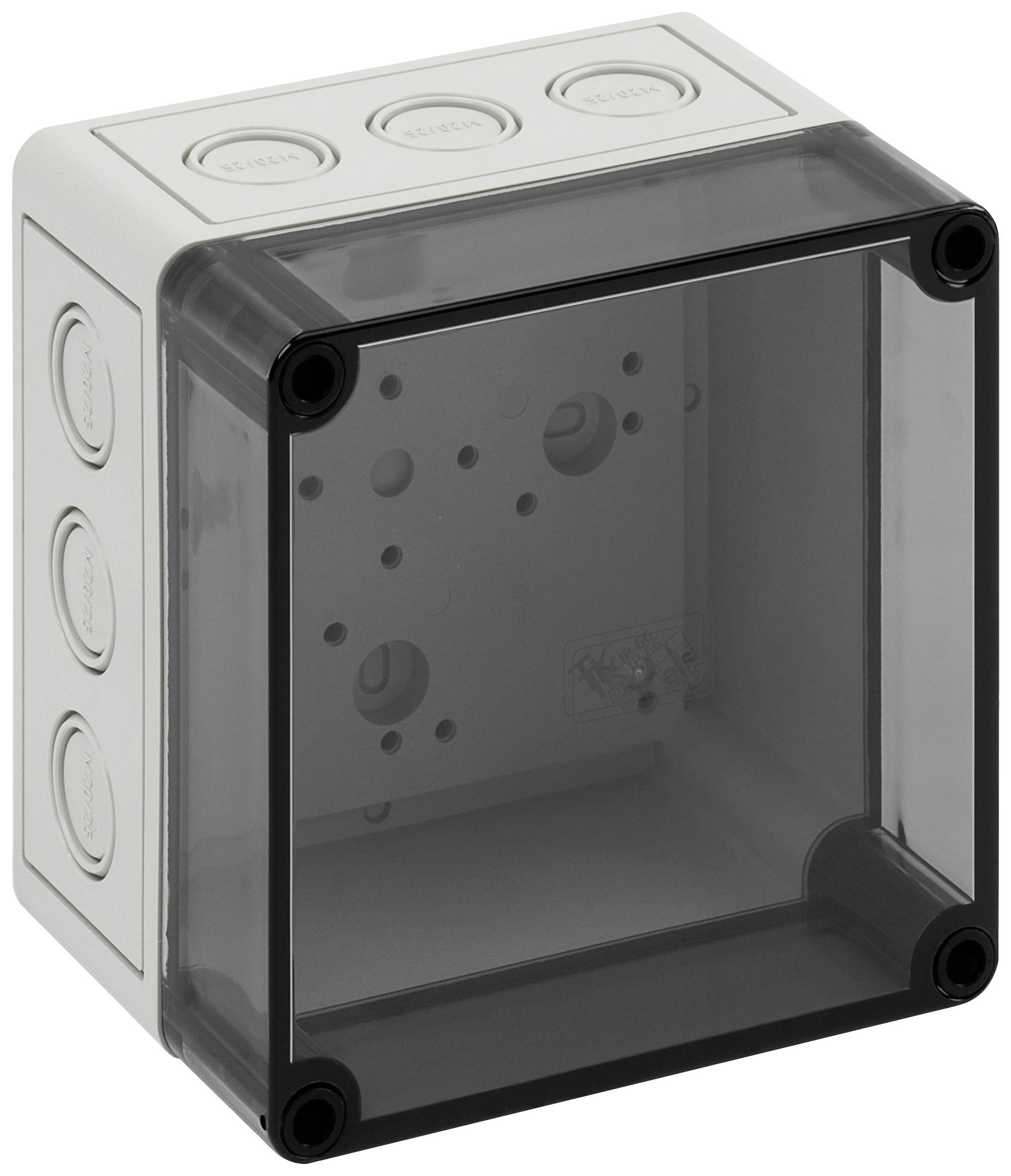 Монтажний корпус Spelsberg TK PC 1313-10-TM 130 x 130 x 99 полістирол, полікарбонат, поліуретан, поліамід глянцевий сірий 1 шт.