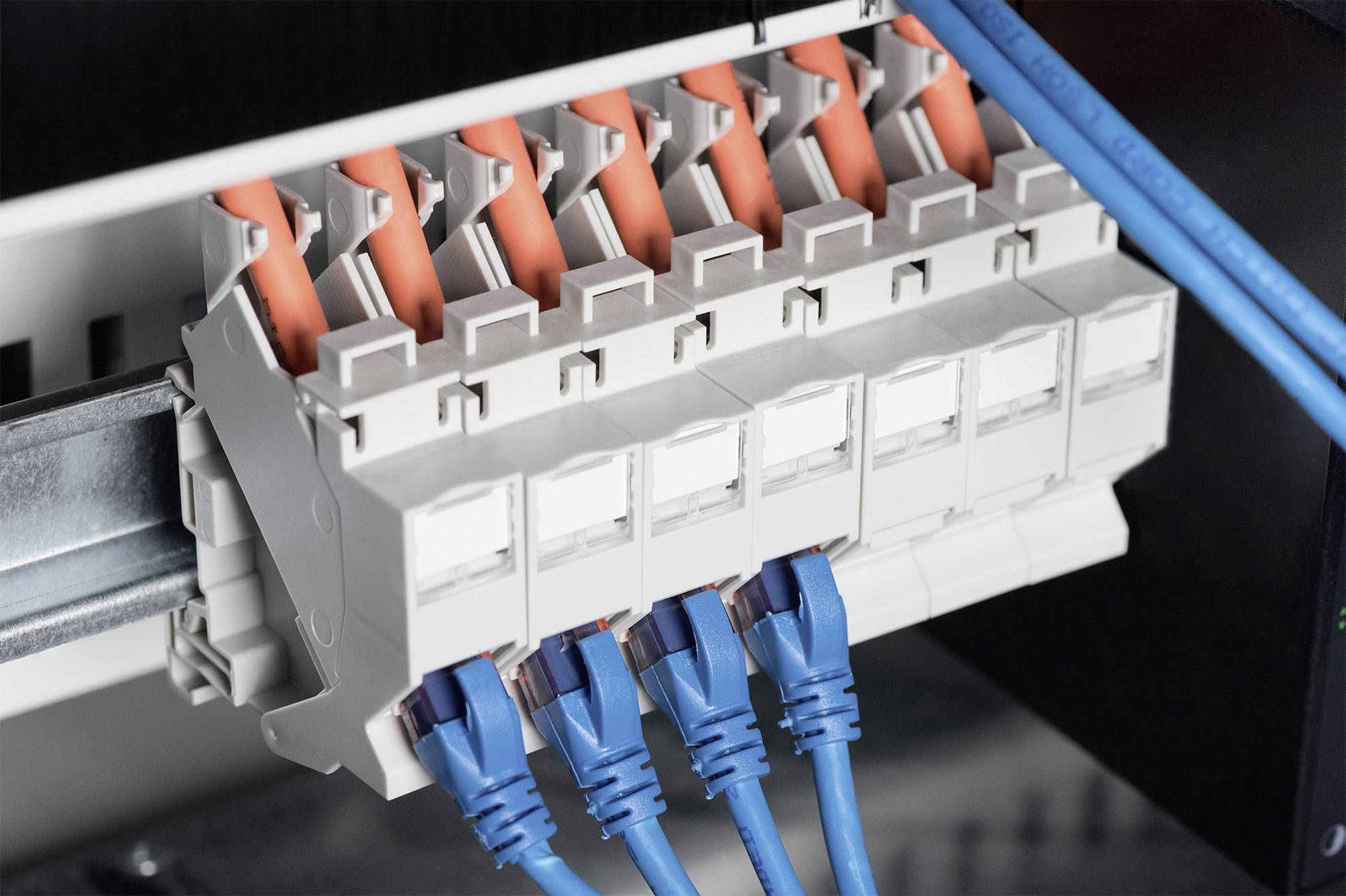 Złącza sieciowe z niebieskimi kablami Ethernet w szafce rozdzielczej. Pomarańczowe kable są podłączone u góry.