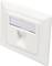 Białe gniazdko sieciowe na ścianie, z usuwalnym otworem na etykietę u góry oraz kanałem kablowym na dole. Kwadratowy design.
