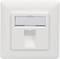 Pojedyncze, kwadratowe złącze sieciowe w białej płycie ściennej, odpowiednie do podłączenia kabli Ethernet w budynkach.