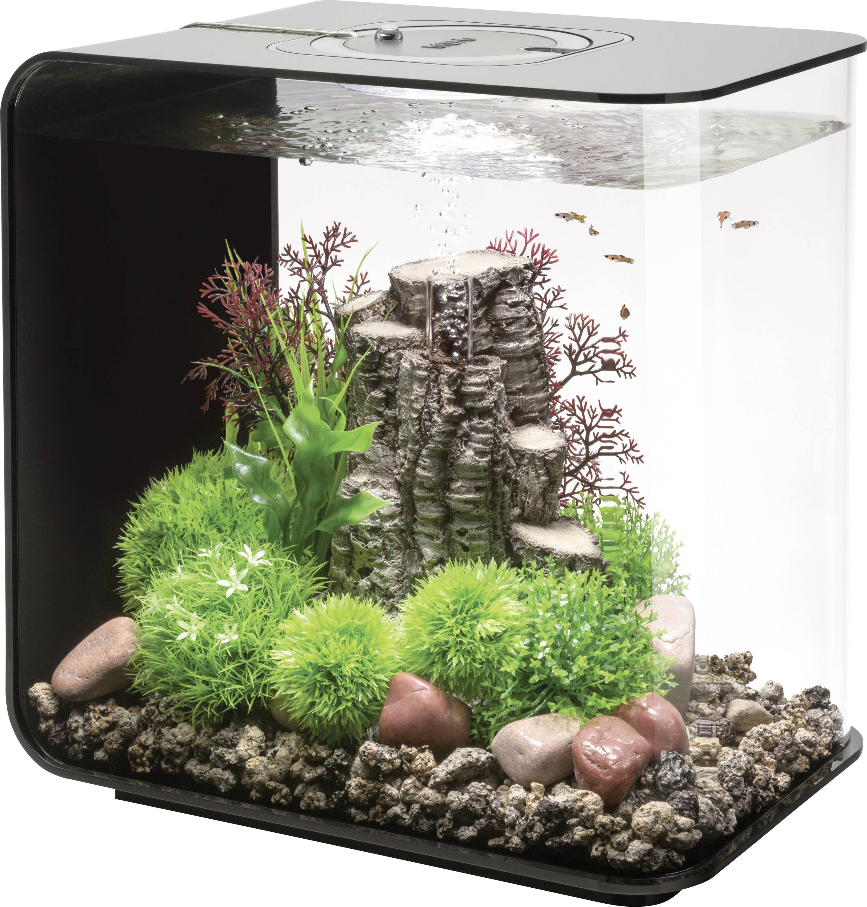 Mały akwarium z kolorowymi roślinami, kamieniami i centralną dekoracyjną strukturą przypominającą wodospad; w pobliżu pływa kilka małych rybek.